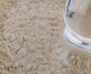 VITAL WHEAT GLUTEN